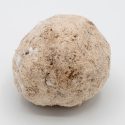 Cinammon Powder